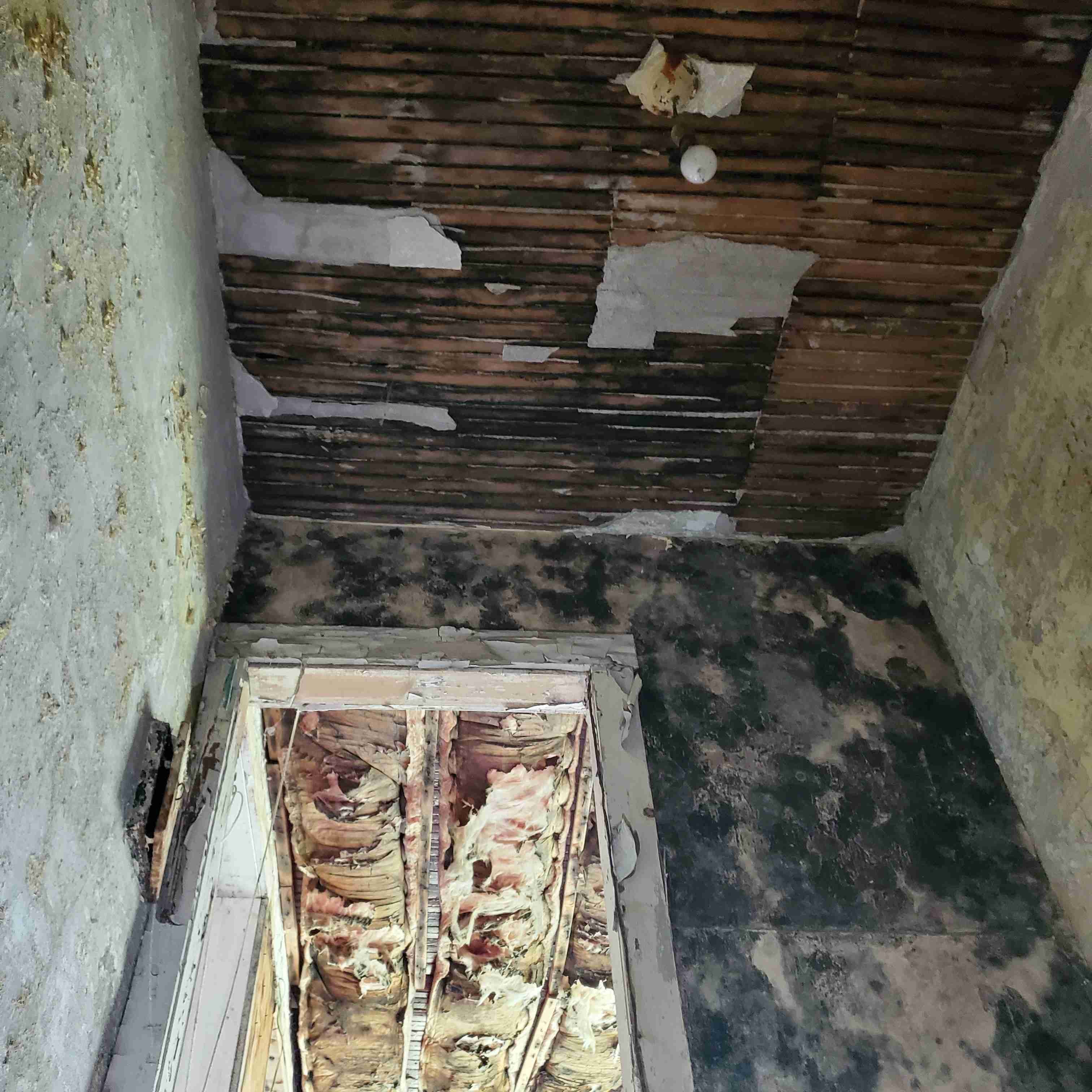 20200812_130240 (2).jpg